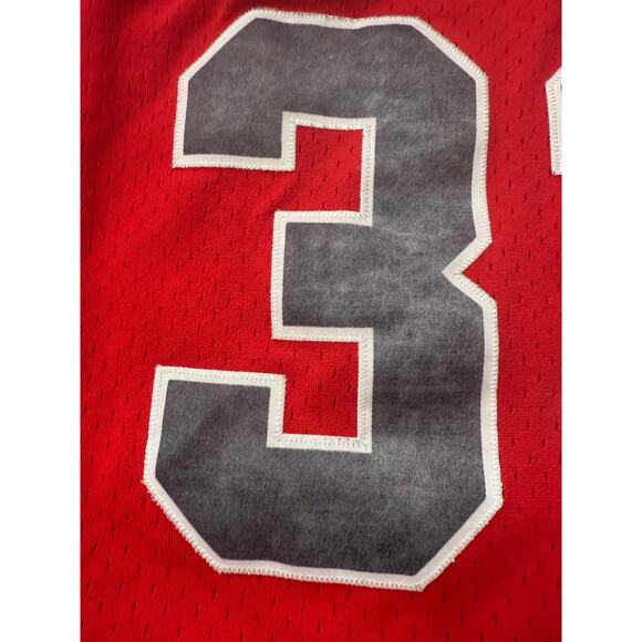 NBA Jersey Chicago Bulls Scottie Pippen 33 sz L - Picture 11 of 14